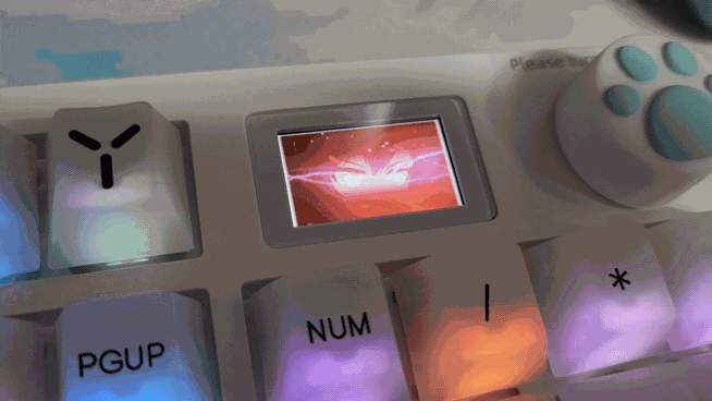 다얼유 A104 PRO FLEX LCD 패널에 커스텀 이미지가 표시된 모습, 냥발 모양 노브캡